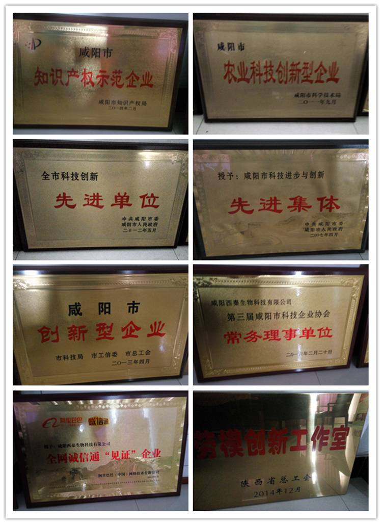 咸陽西秦生物科技有限公司榮譽1